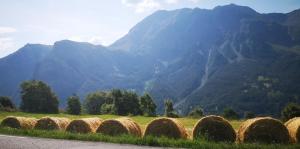 Appartements LOGEMENT 4 PERSONNES : photos des chambres