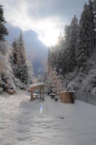 Гостьовий дім Секвойя