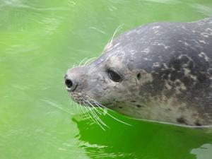 Haus-Dreilanden-Whg-05