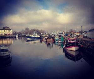 Appartements O p'tit 44 Apt + terrasse dans le vieux Honfleur : photos des chambres