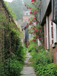 Appartements O p'tit 44 Apt + terrasse dans le vieux Honfleur : photos des chambres