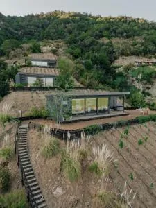 Palcos de Apalta - Las Arañas