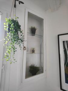 Charmant T2 atypique, rénové