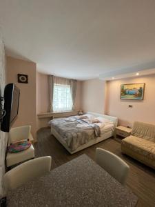 Studio with Mountain View room in Apartments Konaci Kopaonik