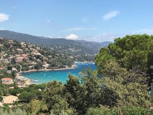 Appartements Studio Le Lavandou, 1 piece, 2 personnes - FR-1-677-8 : photos des chambres