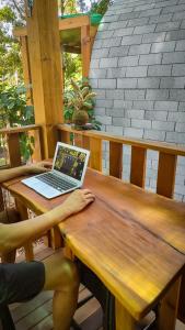 Alquimia Zen IGLUs de eucalipto na Reserva Aruá