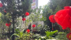 QUEEN HOTEL Khách sạn QUEEN