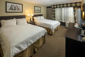 Holiday Inn Detroit Lakes by IHG