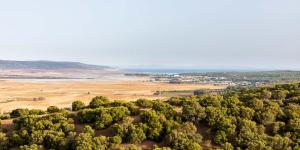 Vista La Janda - Califa Casas Vejer
