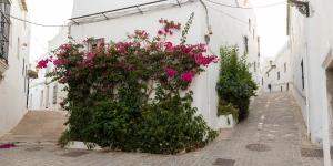 Vista La Janda - Califa Casas Vejer