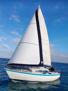 Bateaux-hotels Nuit insolite a bord d'un voilier au coeur de Sete : photos des chambres