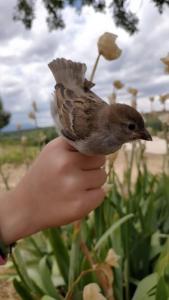El Telar Arte y Naturaleza