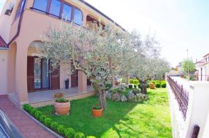 Apartments Tina & Denis