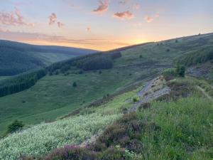 Lovely little house in Yarrowford - Yarrow Valley