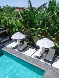 Barefoot- 5BR villa in central Canggu