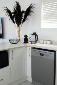 20 Marginella with inverter