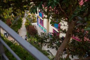 Duplex Familiar Apartment Nature