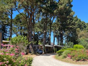 Campings Sunelia Le Petit Bois : photos des chambres