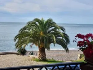 Arsaul - 古达乌塔