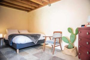 Lodges Eco lodge Carbonaccio : photos des chambres