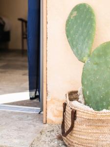 Lodges Eco lodge Carbonaccio : photos des chambres