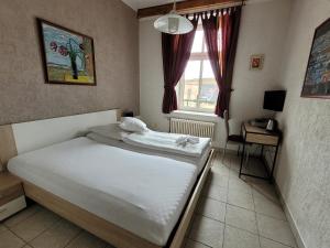 Standard Double Room room in Hotel Koruna
