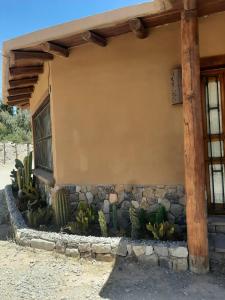 CASA SAMAÑA