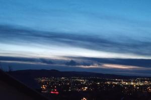 Icelandic Art Garden Villa w. parking in centre city