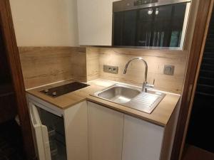 Studio à Megève - 3 personnes, Animaux admis - FR-1-453-116