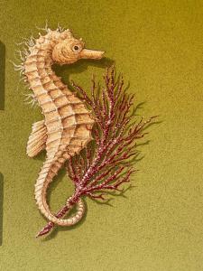 Clelia Apartments - Deiva Marina