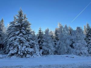 Ferienwohnung an der Oker