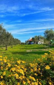 Quinta da Tapada de São Pedro