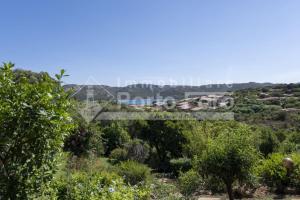 M3A - Villa Rosmarino Porto Mannu