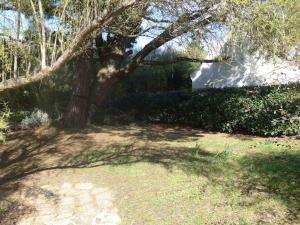 Maisons de vacances Maison de charme pres de la cote sauvage avec jardin et terrasse - FR-1-418-128 : Maison de Vacances (4 Adultes)