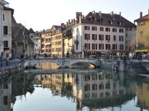 Studio lumineux, proche du lac avec animaux acceptés à Annecy - FR-1-432-17