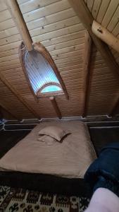 Cabana Păstrăvului