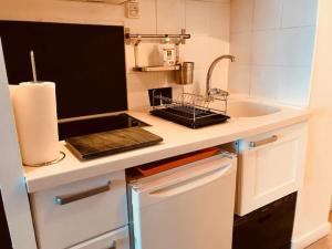 Studio au cœur des commerces, accès direct aux pistes, balcon sud-ouest, équipements inclus - FR-1-449-25