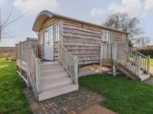 The Egyptologist - Tadcaster