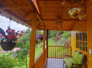 HOTEL CABAÑAS SANTO TOMAS