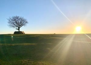 Best Location! Town & Racecourse!