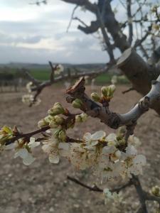 Casa Rural La Morena