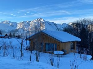Chalet ski-in ski-out with jacuzzi in Nendaz