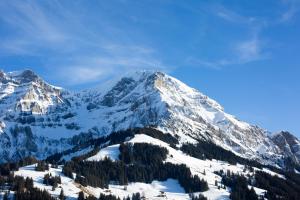 Chalet-Hotel Beau-Site