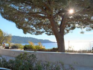 Studio lumineux en bord de mer à Cavalière, 4 couchages, vue imprenable - FR-1-251-433