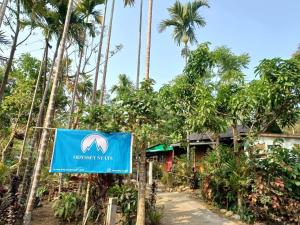 Odyssey Stays Mawlynnong