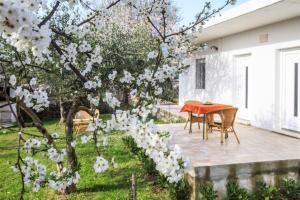 Holiday Home Sumartin - CIN08006-F