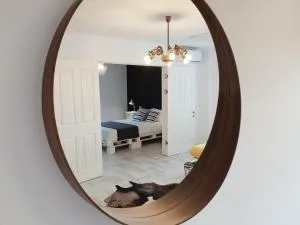 Pentru plata numerar cautati pe G00gle, Norsk Skogkatt Galati - Big Tv DISNEYplus TV! - Reni