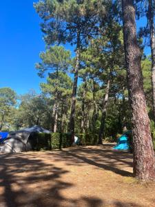 Campings CAMPING Bassin Arcachon - LES GOELANDS : photos des chambres