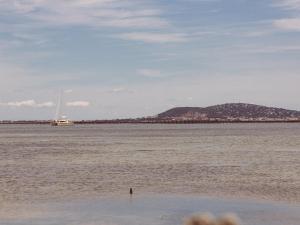 Studio proche Thermes Balaruc, Climatisé, Animaux admis - FR-1-503-87