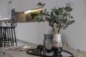 NEW QUIET & COSY Historic Center